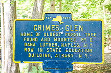 Grimes Glen