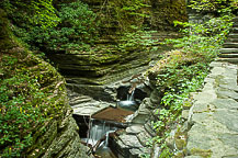 Watkins Glen State Park