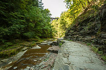 Watkins Glen State Park