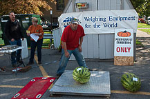 Steve Westcott Watermelon