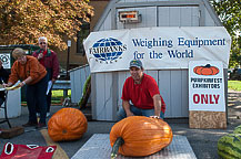 Pumpkin - Steve Westcott