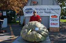 Squash - Steve Westcott