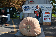 Pumpkin - Julene Sanford