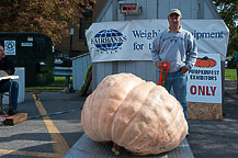 Pumpkin - Steven Greene