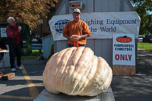 Pumpkin - Henry Grunert