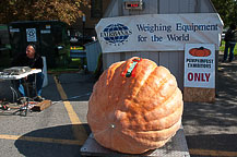 Pumpkin - Wally Merriam