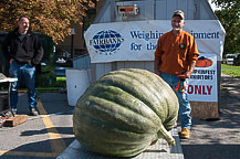 Squash - Brian Staring