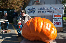 Pumpkin - David McMillan