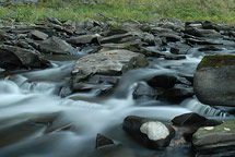 Stream at Salmon River Falls, NY