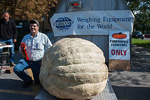 Pumpkin - Matt Verschneider