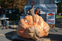 Pumpkin - Frank Valenza