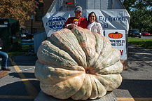 Pumpkin - Steve Westcott