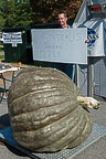 Jeremy Robinson's Record Breaking Squash