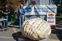 Pumpkin - Katherine Adams