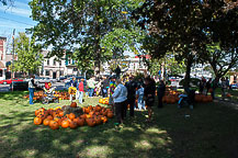 Lots of Pumpkins