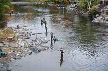 Fishing in the Salmon River