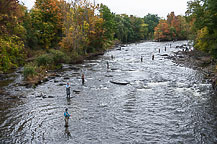 Fishing in the Salmon River