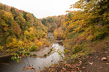 Salmon River Falls