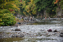 Fishing in the Salmon River