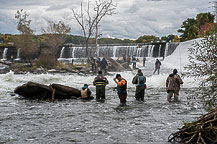 Salmon Fishing on the Oswego River