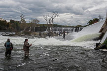 Salmon Fishing on the Oswego River