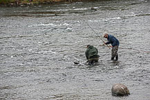 Landing a Salmon