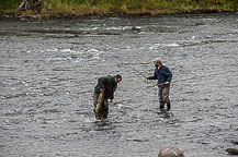 Landing a Salmon