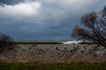 Lake Ontario Storm