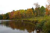 Moose River