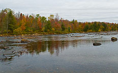 Moose River