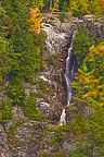 Roaring Falls