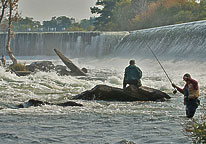 fishing on the oswego River