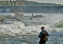 Fishing on the Oswego River