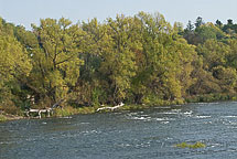 Fishing on the Oswego River