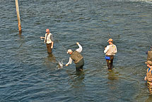 Fishing on the Oswego River