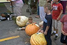 Watching the Big Pumpkins