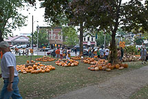 Pumpkins for Sale