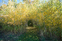 Sterling Nature Center