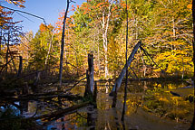 Sterling Nature Center