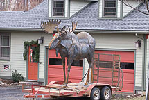 Tin Moose