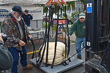 Oswego Pumpkin Fest