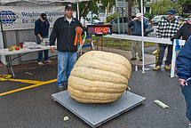 Oswego Pumpkin Fest