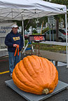 Oswego Pumpkin Fest