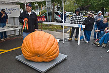 Oswego Pumpkin Fest 2008