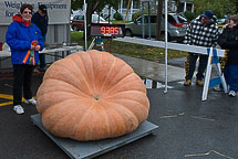 Oswego Pumpkin Fest