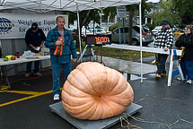 Oswego Pumpkin Fest