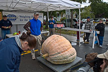 Oswego Pumpkin Fest