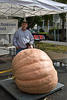 Oswego Pumpkin Fest