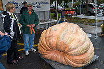 Oswego Pumpkin Fest