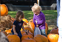 Oswego Pumpkin Fest 2008